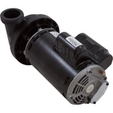 Sundance Spa Pump 2.5HP 11/3.3a 240v 2spd 48FR NB1 w/o Bracket (6500-343)